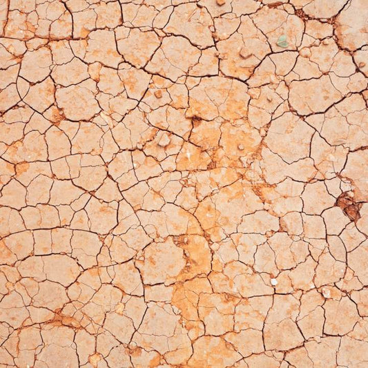 5 Reasons Why Your Skin Is Dull And Dry